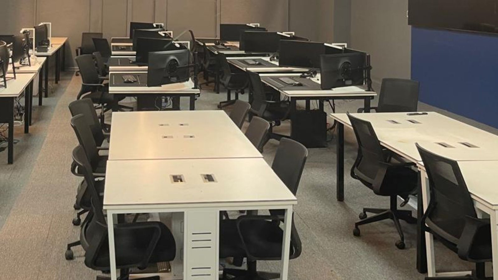 Section 4 Project Visual